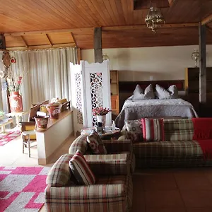 loft-sao-joaquim.santa-catarina-brasil.com/