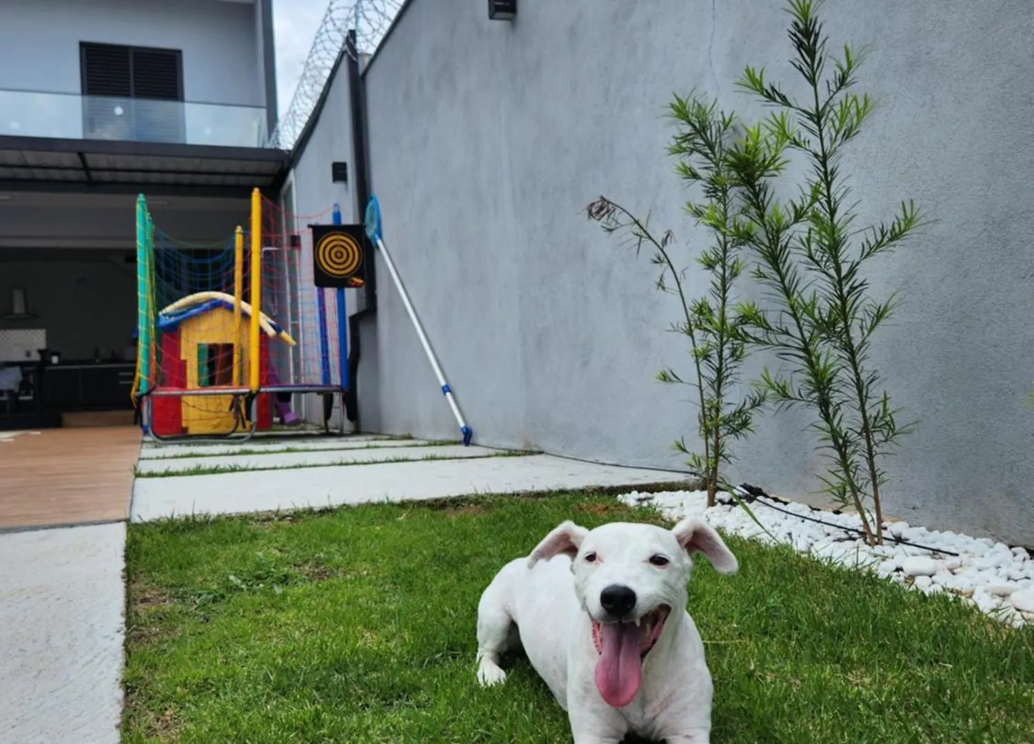 Sobrado Novo E Lindo Com Piscina Vila São José dos Campos